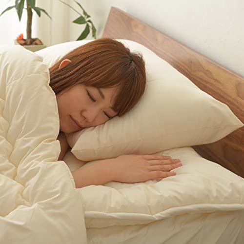 EMOOR(エムール) 洗える枕 東レftの商品画像6 