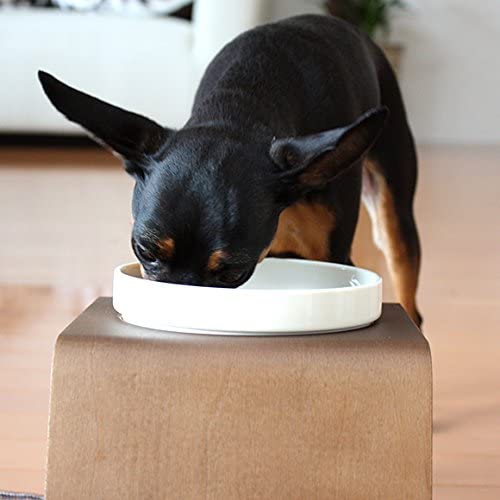 SOLVIDA(ソルビダ) 室内飼育成犬用(インドアアダルト) チキン 1.8kgの商品画像8 