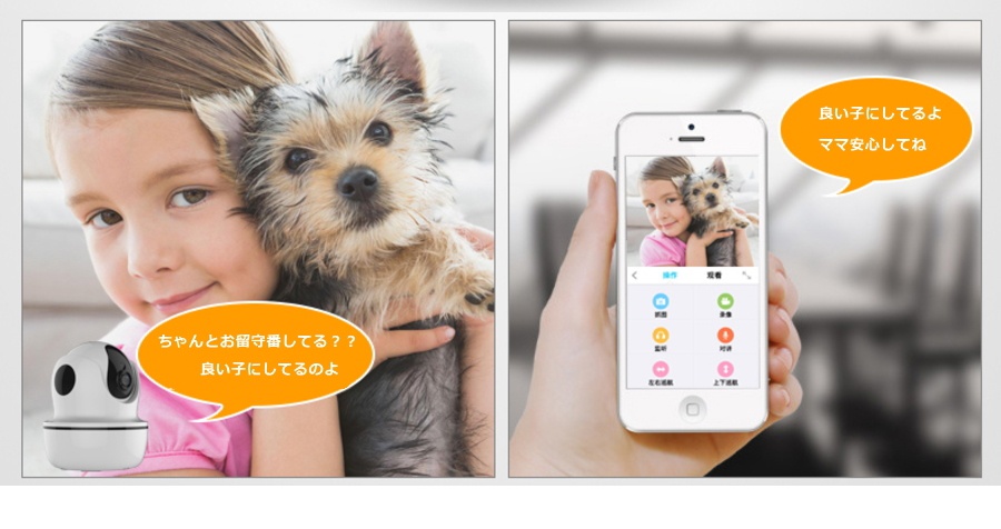 JSEED(ジェーシード) Baby07の商品画像7 