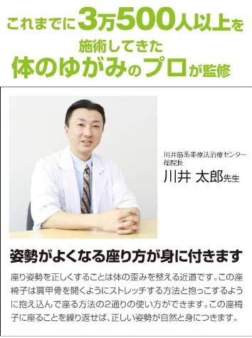PROIDEA(プロイデア) 背筋がGUUUN美姿勢座椅子の商品画像7