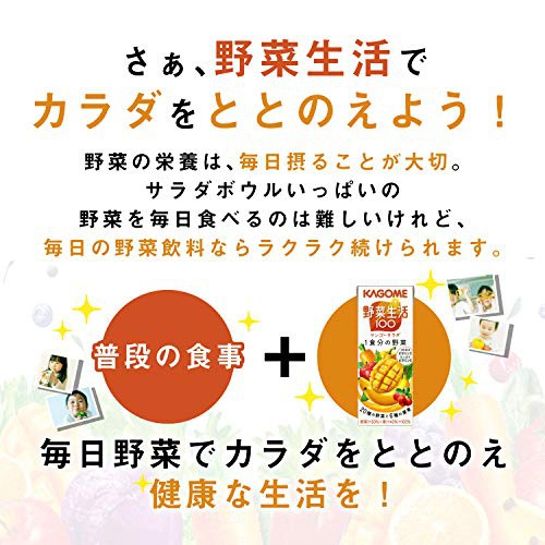 KAGOME(カゴメ) 野菜生活100マンゴーサラダの商品画像10 