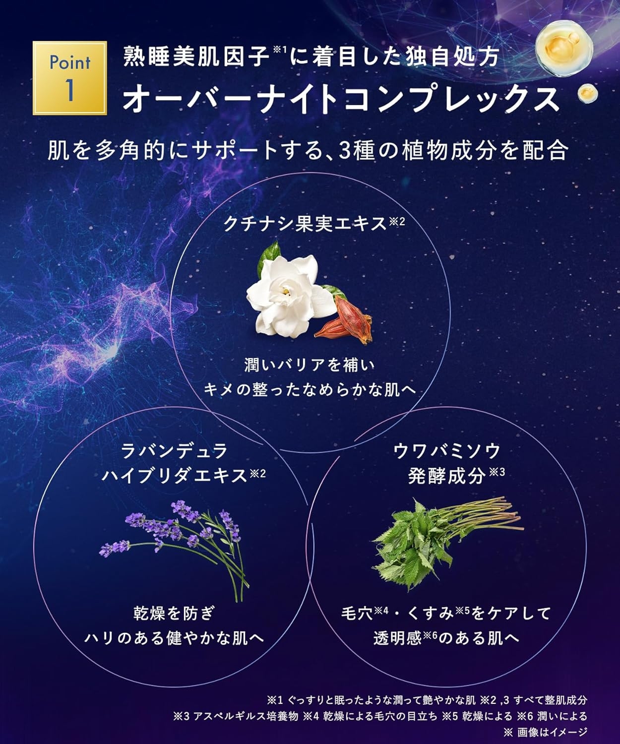 YOLU(ヨル) スキン オーバーナイトクリーム モイストの商品画像6 