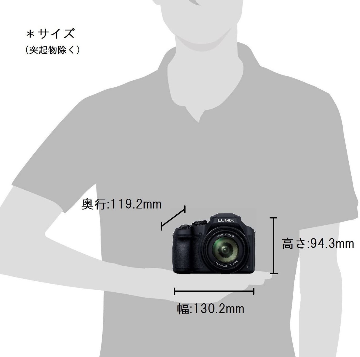 Panasonic(パナソニック) ルミックス DC-FZ85の商品画像5 