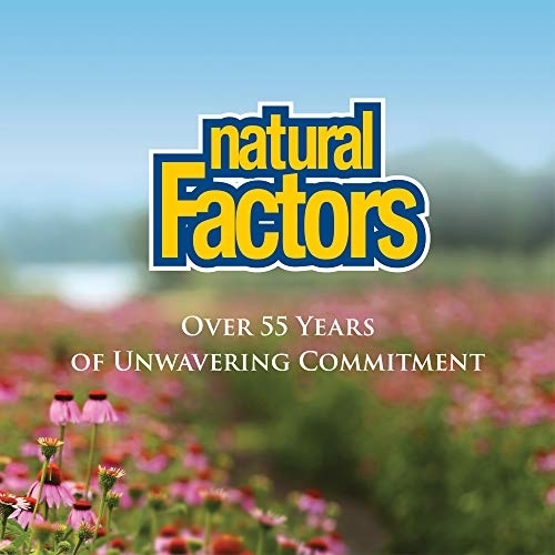 Natural Factors(ナチュラルファクタ―ズ) ビタミンCの商品画像9 