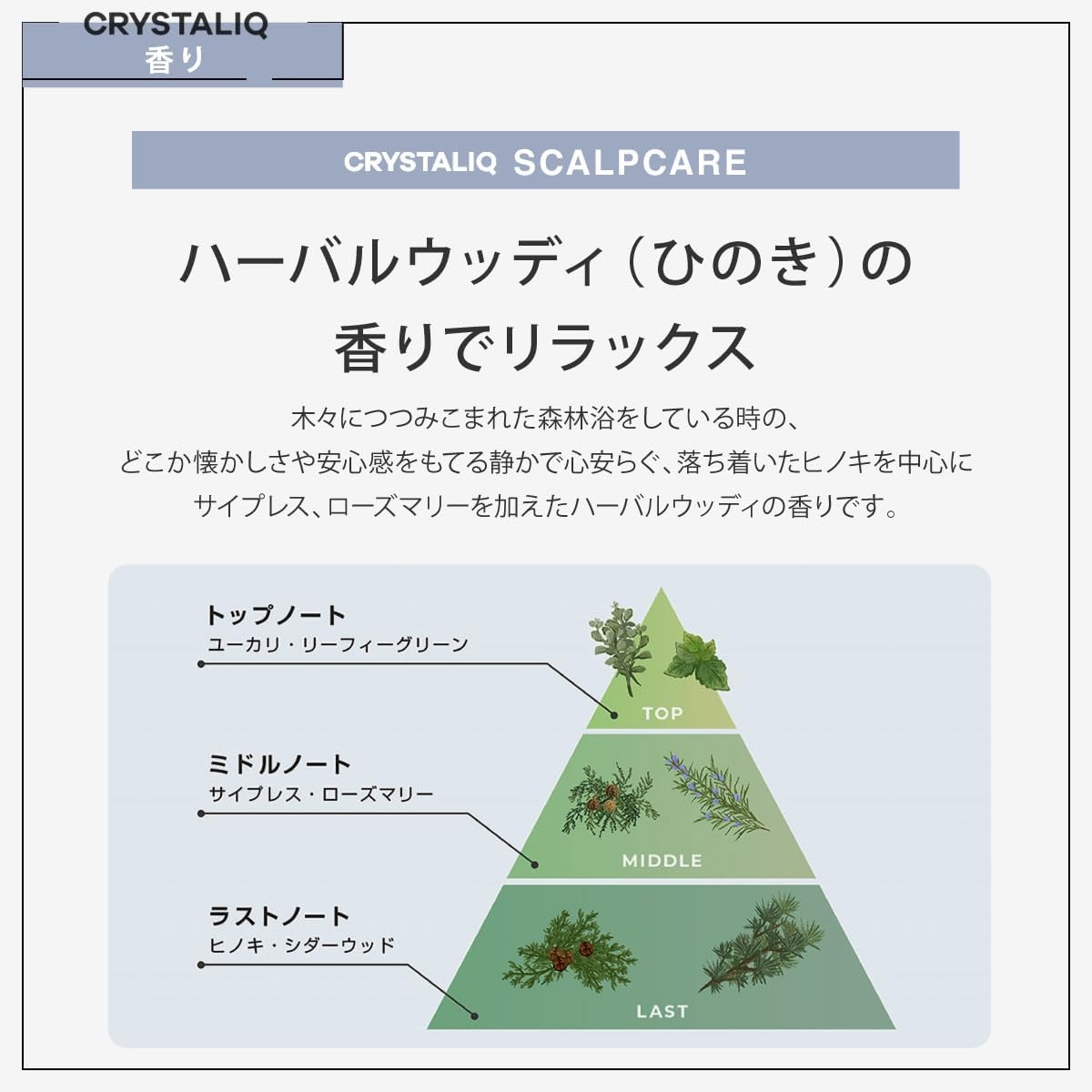 Crystaliq(クリスタリーク) スキャルプケアシャンプー／トリートメントの商品画像7 