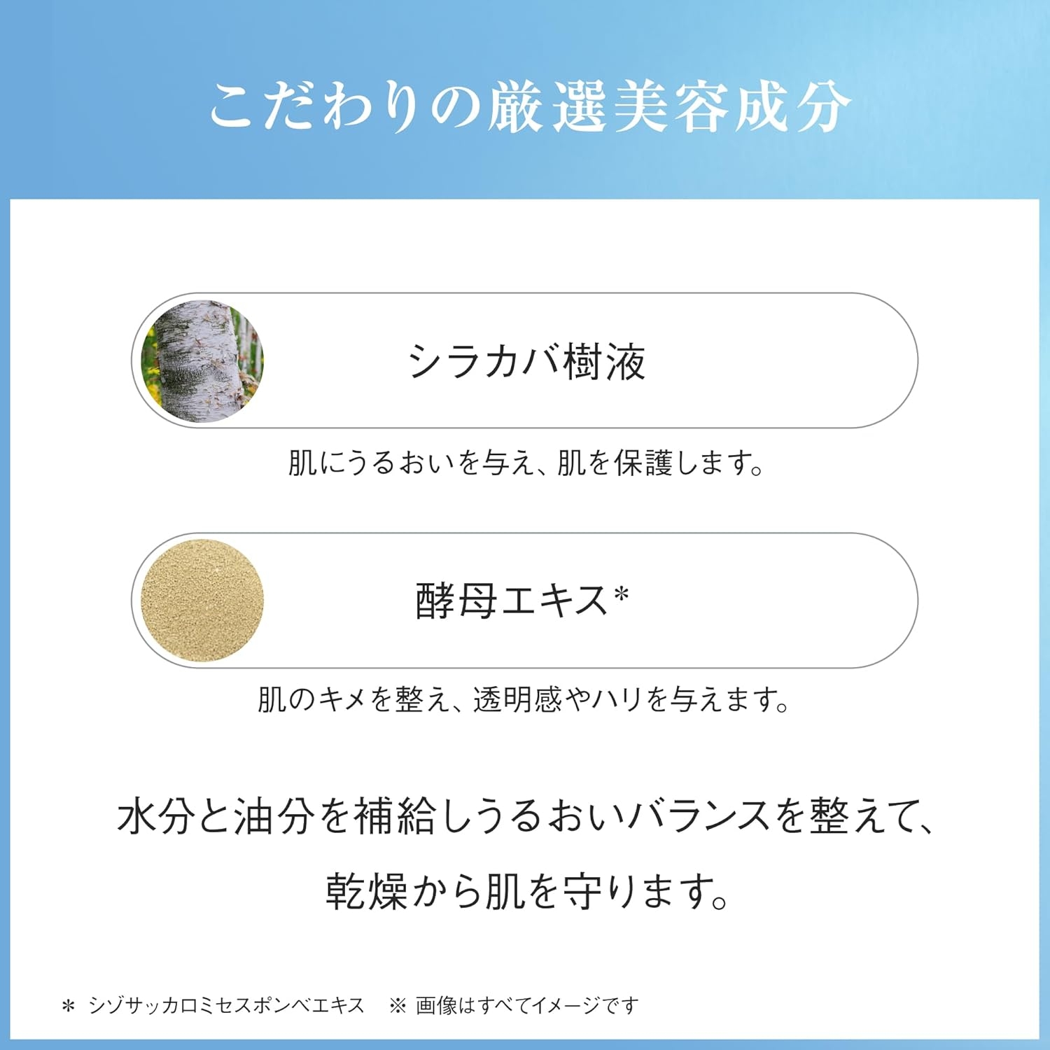 AYURA(アユーラ) メークオフミルクαの商品画像6 