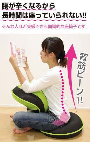 PROIDEA(プロイデア) 背筋がGUUUN美姿勢座椅子の商品画像6
