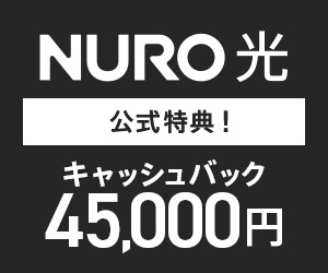 超高速インターネット NURO光（公式）