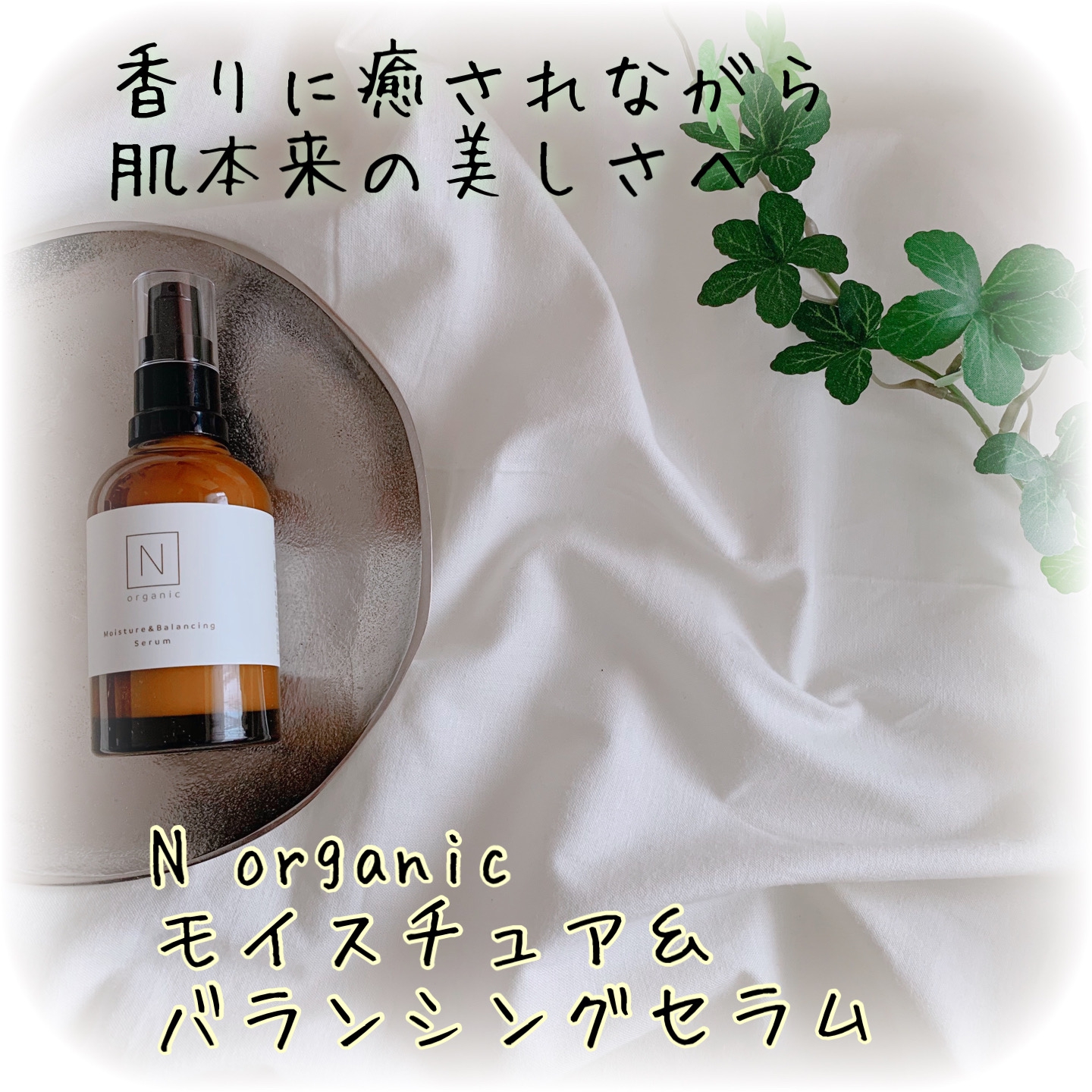 直営店限定 Ｎ モイスチュア&バランシング organic organic(エヌ 