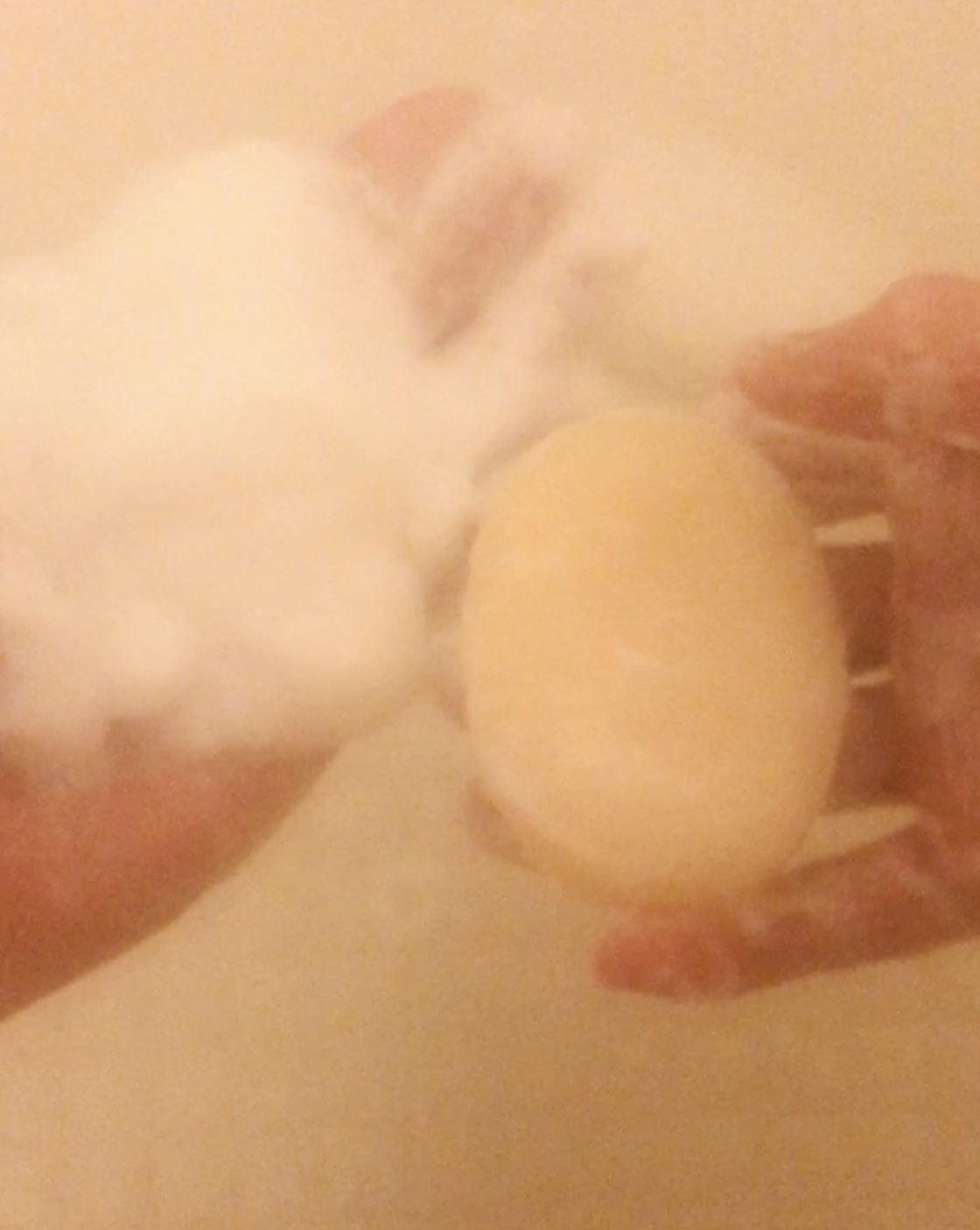 ペリカン石鹸(PELICAN SOAP) 米麹まるごとねり込んだ洗顔石けんに関するトラネコさんの口コミ画像1