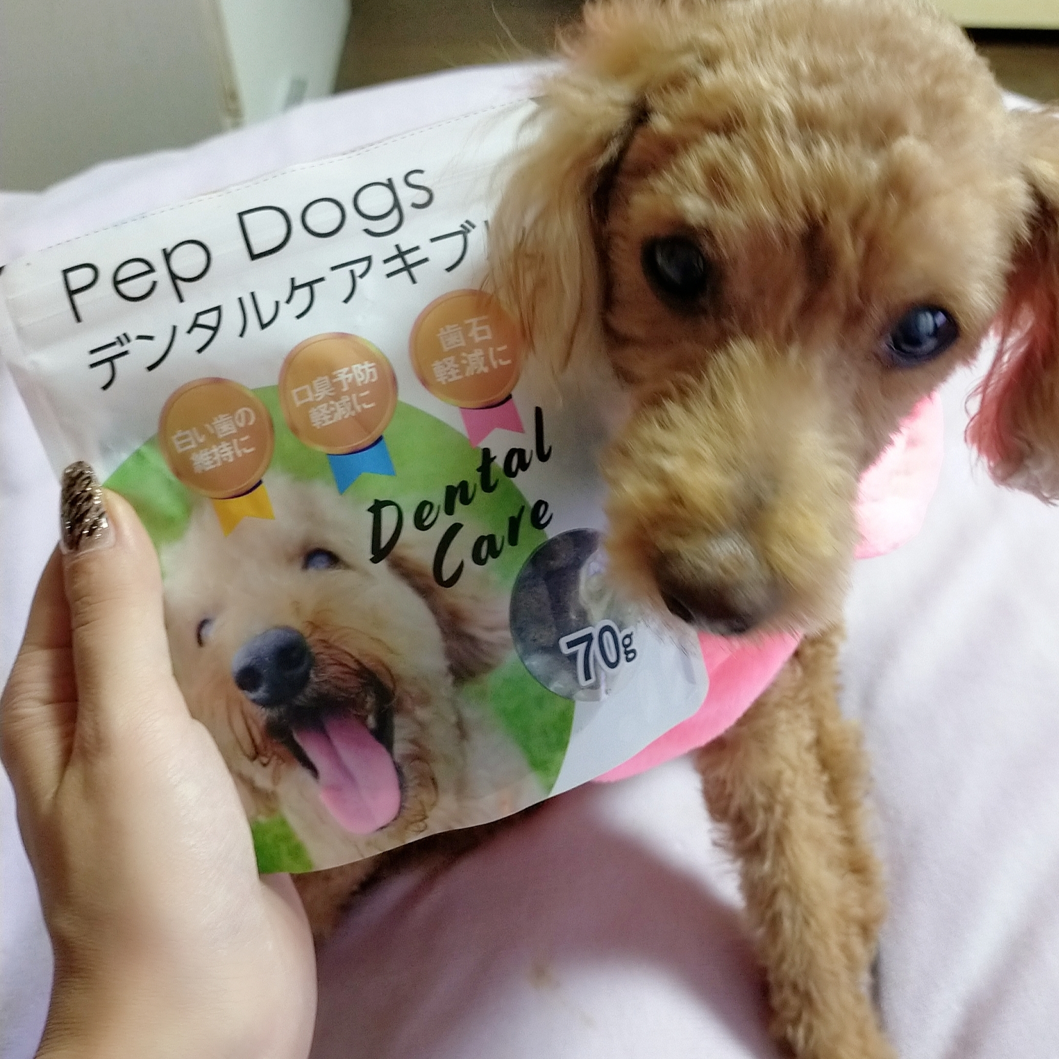 Pep Dogs(ペップドッグス) デンタルケアキブルの良い点・メリットに関するみこさんの口コミ画像1