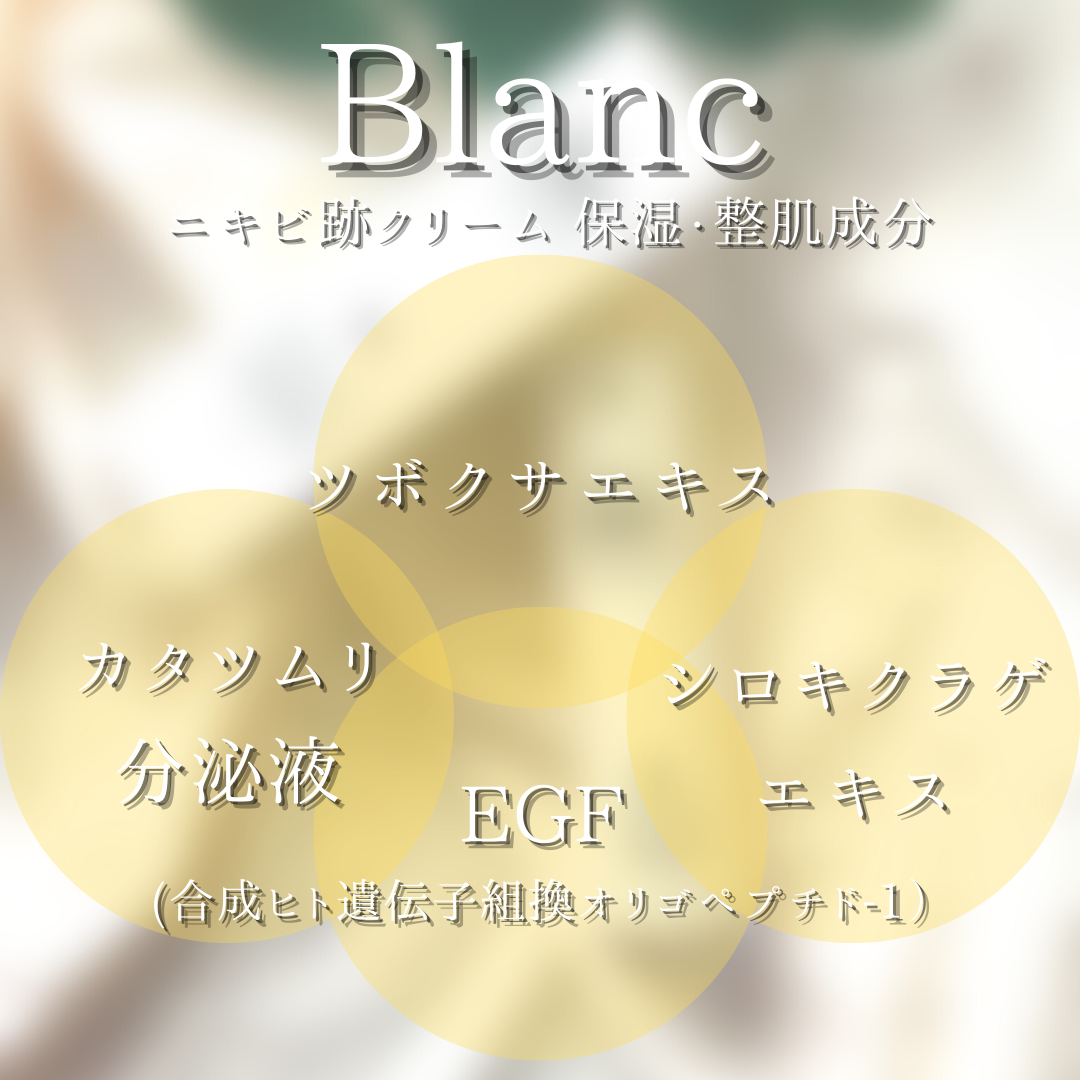 BLANC（ブラン）マジックティーツリーオイル／ニキビ跡クリームを使ったつくねさんのクチコミ画像9