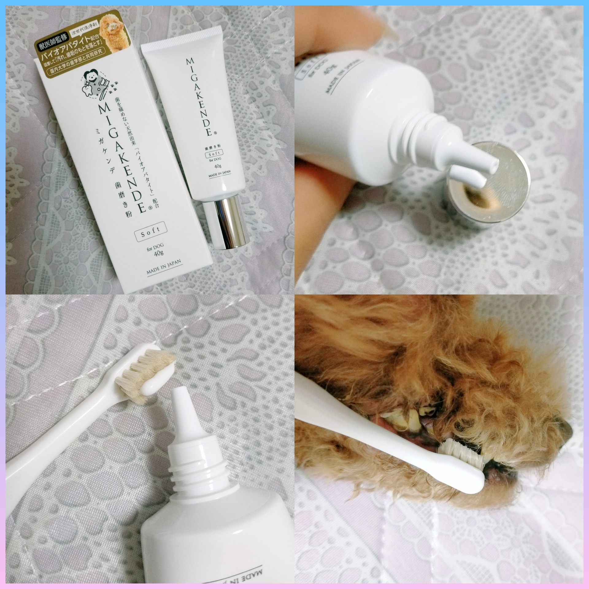 MIGAKENDE(ミガケンデ) 歯磨き粉 for DOGの良い点・メリットに関するみこさんの口コミ画像2