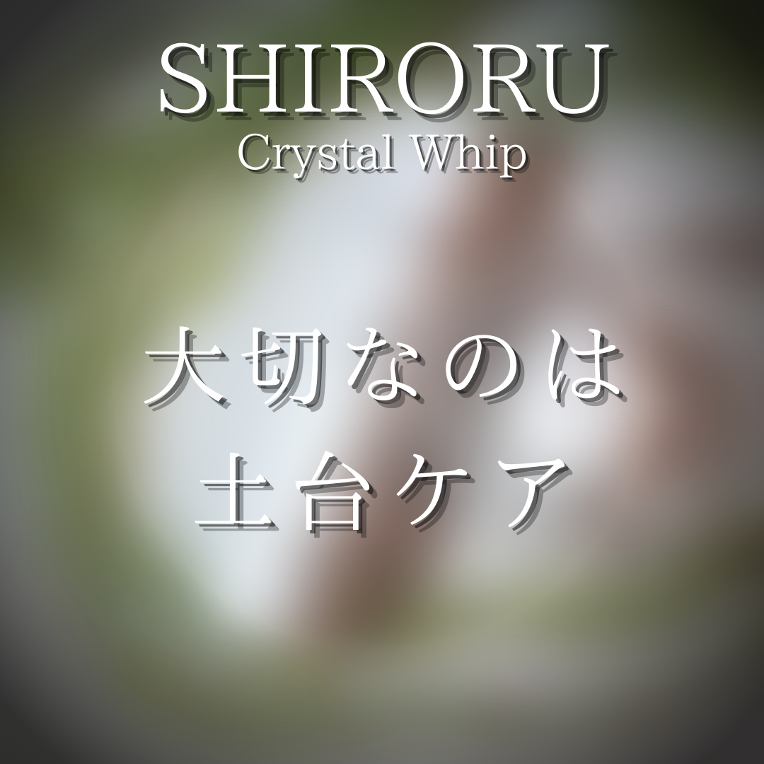 SHIRORU(シロル) クリスタルホイップの良い点・メリットに関するつくねさんの口コミ画像3