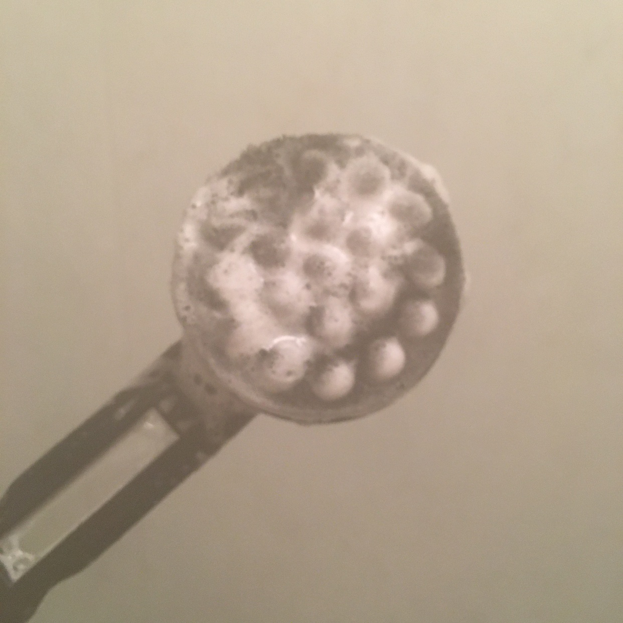 COGIT(コジット) 透明肌 竹炭ボディロングブラシを使ったjobspさんのクチコミ画像4