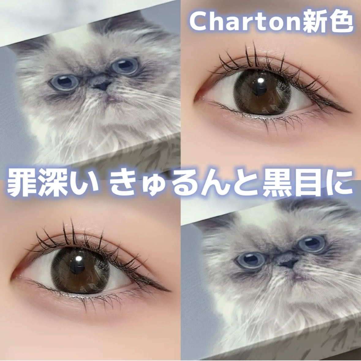 Charton(シャルトン) シャルトンの良い点・メリットに関するSuzukaさんの口コミ画像1