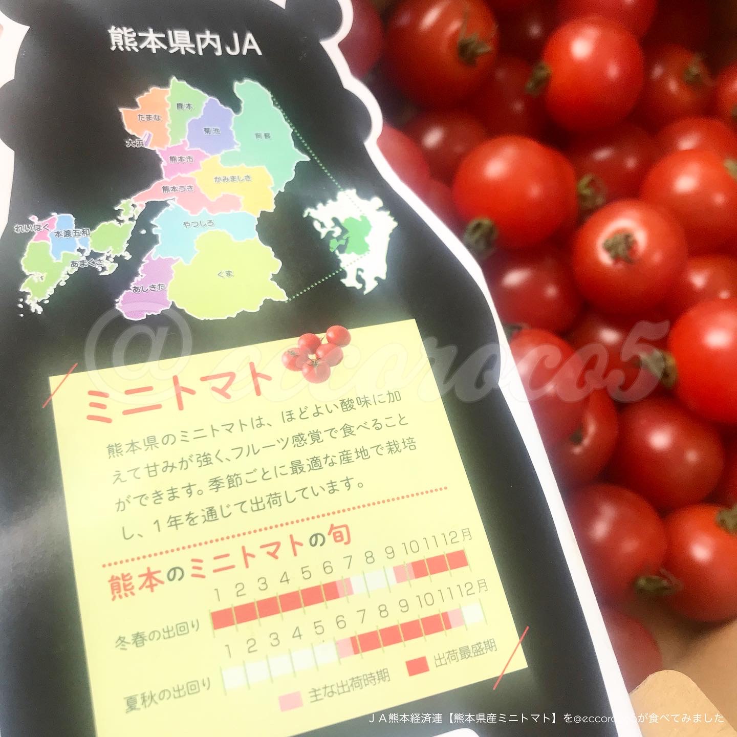 ＪＡ熊本経済連【熊本県産ミニトマト】を使った@eccoroco5さんのクチコミ画像6