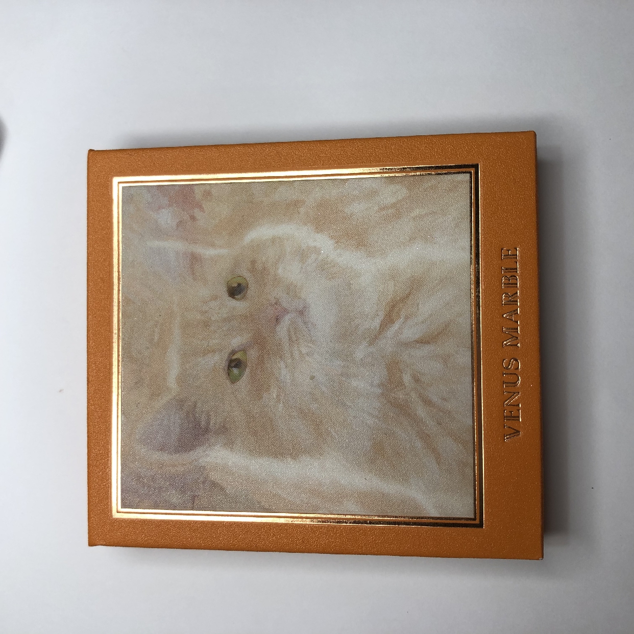 VENUS MARBLE(ヴィーナスマーブル) キャットシリーズアイシャドウパレットを使ったささみさんのクチコミ画像3