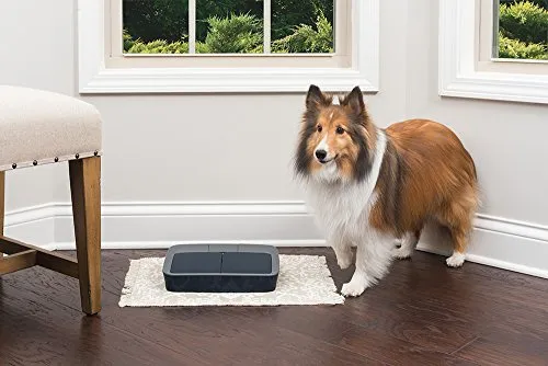 PetSafe(ペットセーフ) おるすばんフィーダー デジタル2食分