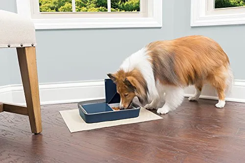 PetSafe(ペットセーフ) おるすばんフィーダー デジタル2食分