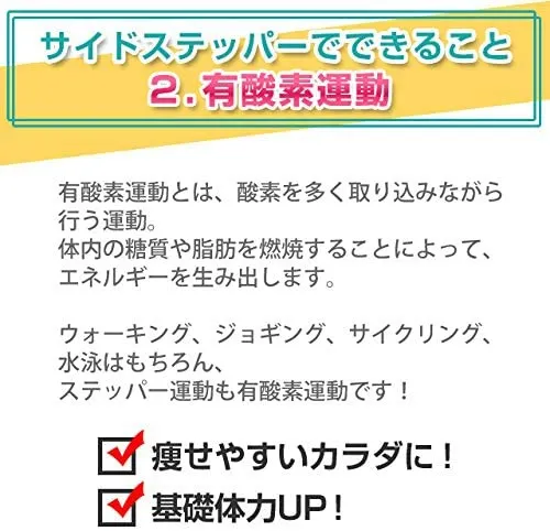 AERO LIFE(エアロライフ) サイドステッパー DR-3865の悪い口コミ