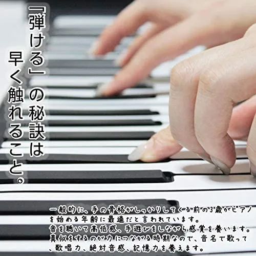 smaly(スマリー) ロールアップピアノ 49鍵盤 SMALY-PIANO-49の