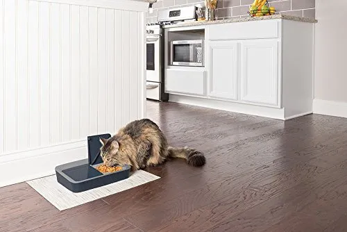 PetSafe(ペットセーフ) おるすばんフィーダー デジタル2食分