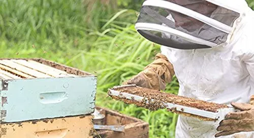 MY HONEY REMEDY(マイハニーレメディー) ハニーケアシャンプー