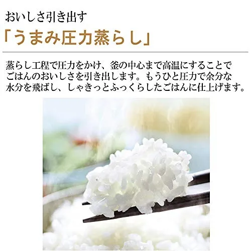 象印(ZOJIRUSHI) 圧力IH炊飯ジャー 極め炊き NP-ZS10の悪い 象印(ZOJIRUSHI) 圧力IH炊飯ジャー 極め炊き NP-ZS10の悪い