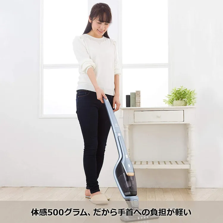 Electrolux(エレクトロラックス) エルゴラピード・リチウム