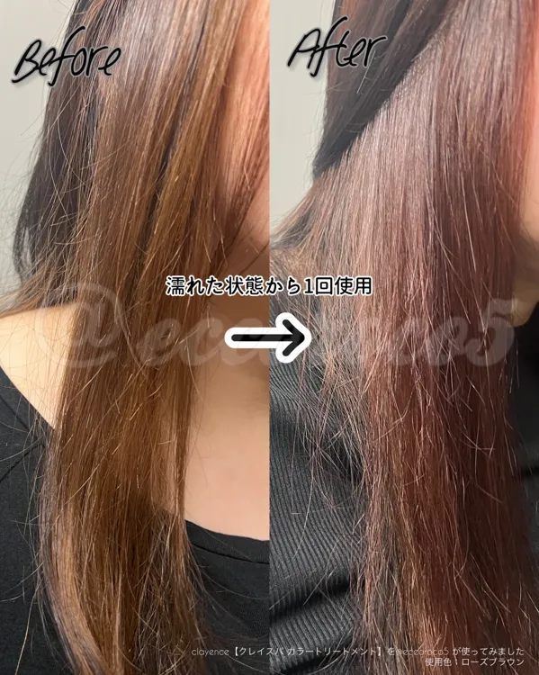 clayenceクレイスパカラートリートメント モカブラウン2本セット