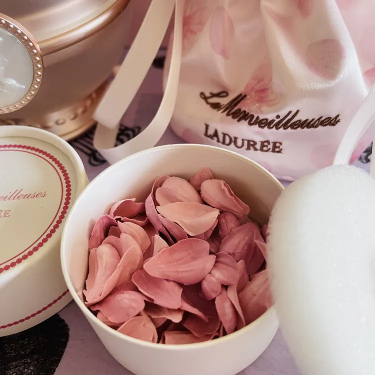 Les Merveilleuses Laduree レ メルヴェイユーズ ラデュレ リミテッド エディション ポット フォー フェイスカラー サクラの 口コミ 評判一覧 1件のチークレビュー モノシル Les Merveilleuses Laduree レ メルヴェイユーズ ラデュレ リミテッド エディション ポット フォー フェイスカラー サクラの 口コミ 評判一覧 1件のチークレビュー モノシル