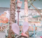 元韓国留学生 카나(kana)🧸🌸 | モノシル公式レビューアー