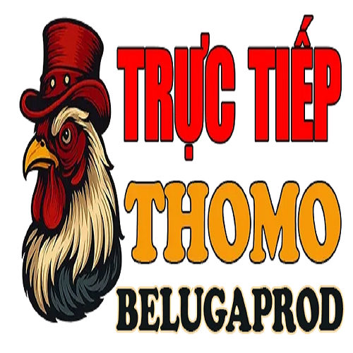 ĐÁ GÀ TRỰC TIẾP THOMO HÔM NAY(dagabelugaprod)