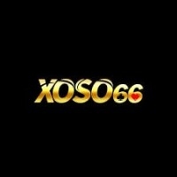 XO66(XO66)