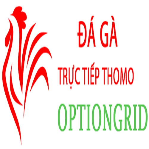 Đá Gà Trực Tiếp Thomo(dagaoption)