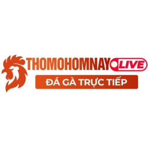 thomohomnaylive(Đá Gà Trực Tiếp ThoMoHomNay)