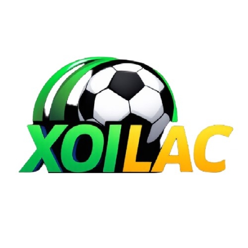 Xoilaclive Org