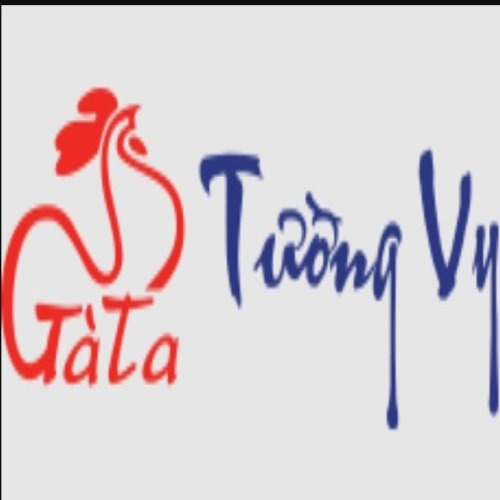 Gà Ta Tường VY(Gà Ta Tường VY)