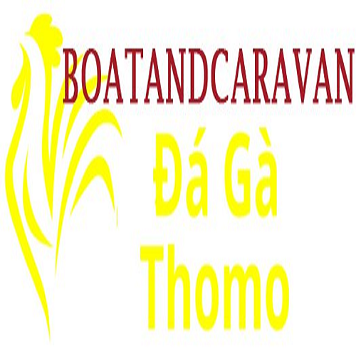 Đá Gà Trực Tiếp Thomo(dagaboat)