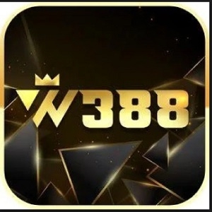 W388(W388)