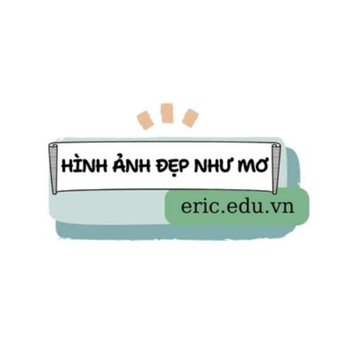Ericedu Vn