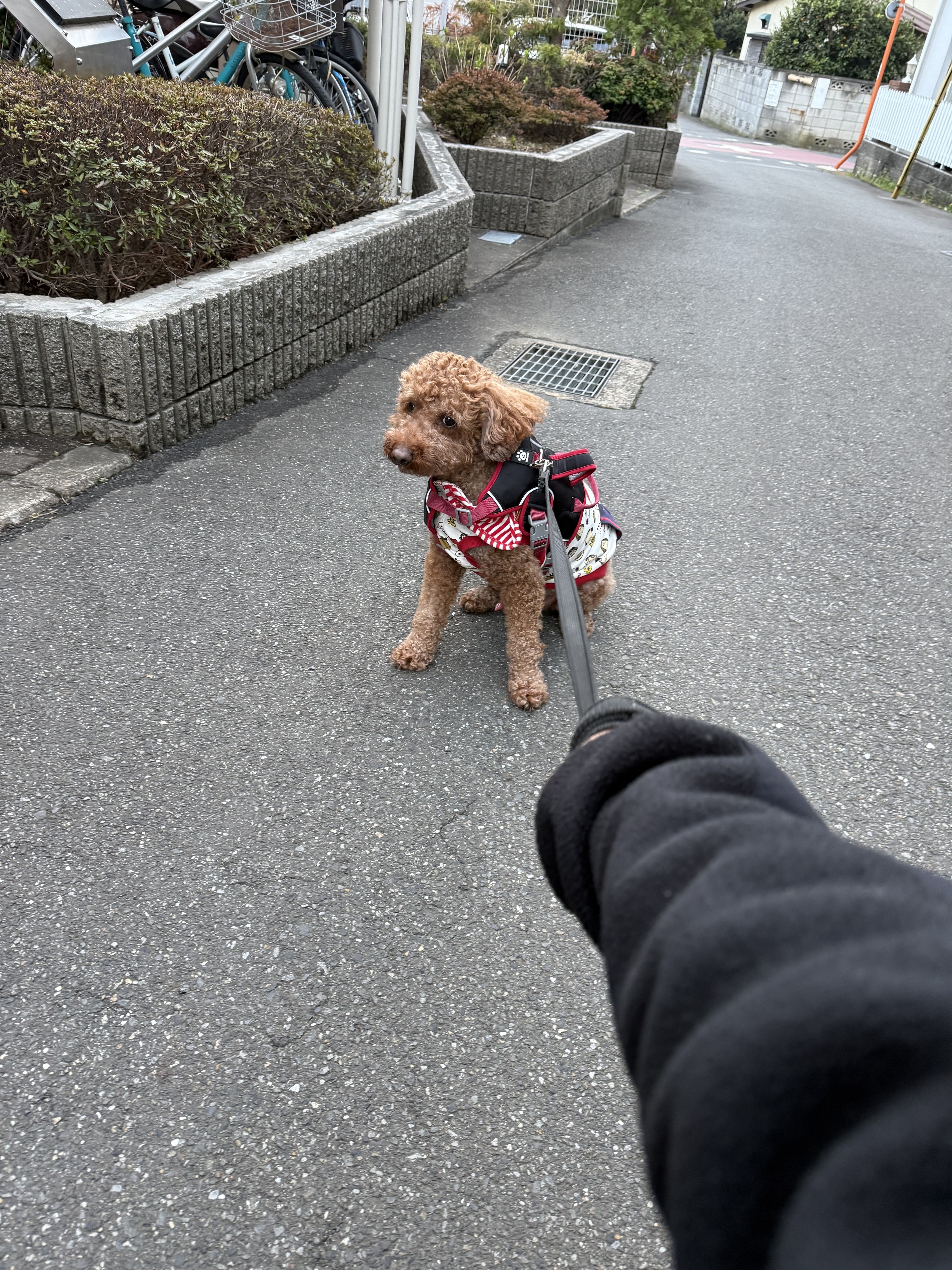 茶々丸 / 20代後半 / 女性のプロフィール画像