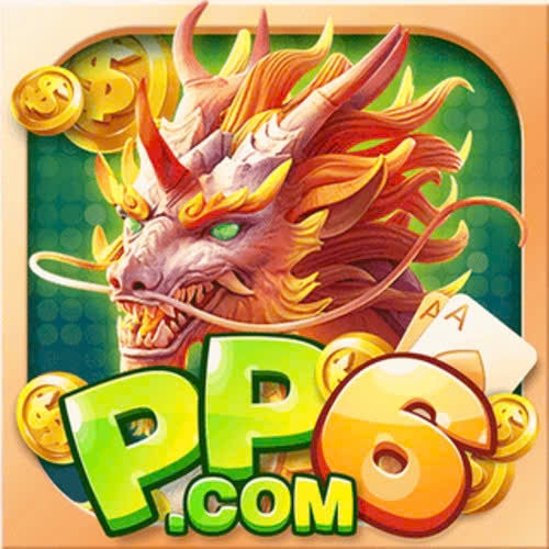 PP6(PP6)