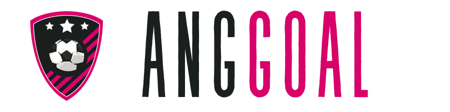 AngGoal AngGoal(AngGoal AngGoal)