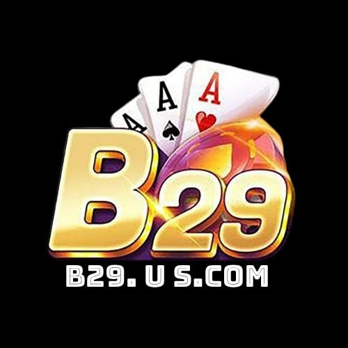 B29(B29)