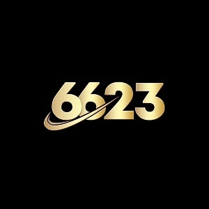 6623 chat