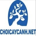 Choi Cay Canh(Choi Cay Canh)