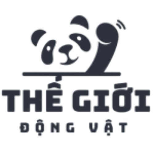 Thế Giới Động Vật(Thế Giới Động Vật)