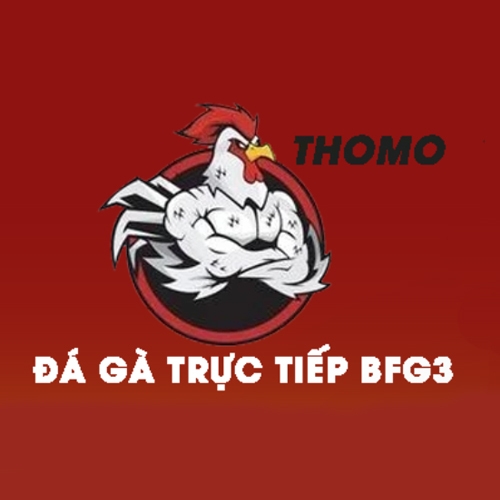 ĐÁ GÀ TRỰC TIẾP CAMPUCHIA GÀ THOMO HÔM NAY(ĐÁ GÀ TRỰC TIẾP CAMPUCHIA GÀ THOMO HÔM NAY)